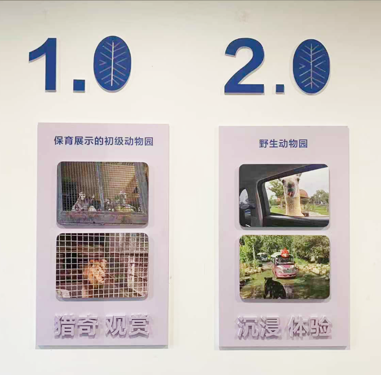 从‘逛动物园累瘫’到‘轻松遛娃一整天’，丽水宝妈的周末不费妈遛娃好去处大公开