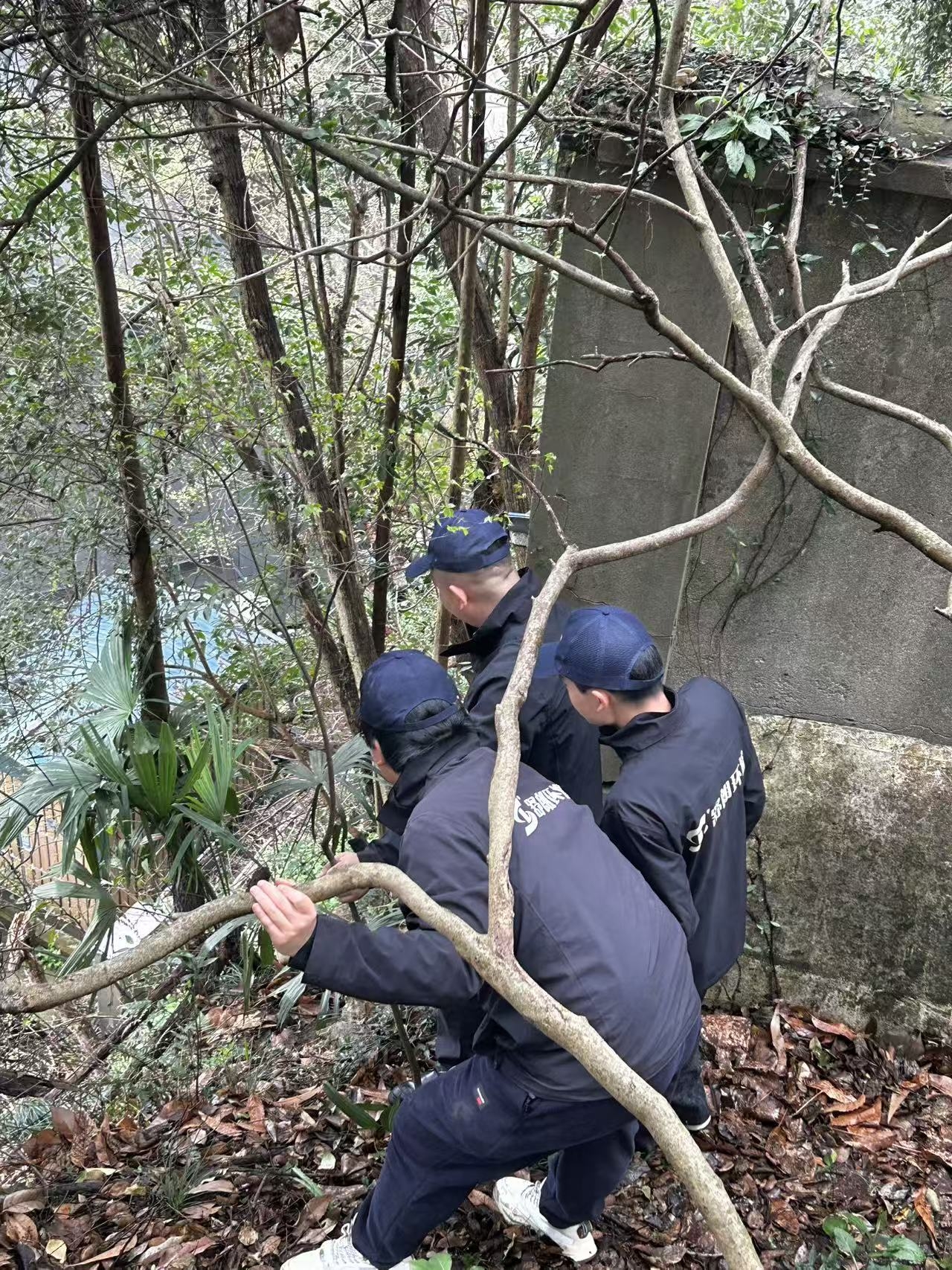 筑牢食安防线